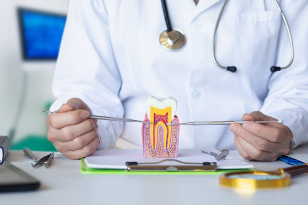 Best Emergency Dental Care for Abscessed Tooth in Holliday, TX